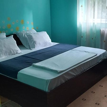 Apartmán Apartament Gara Mica Arad Exteriér fotografie