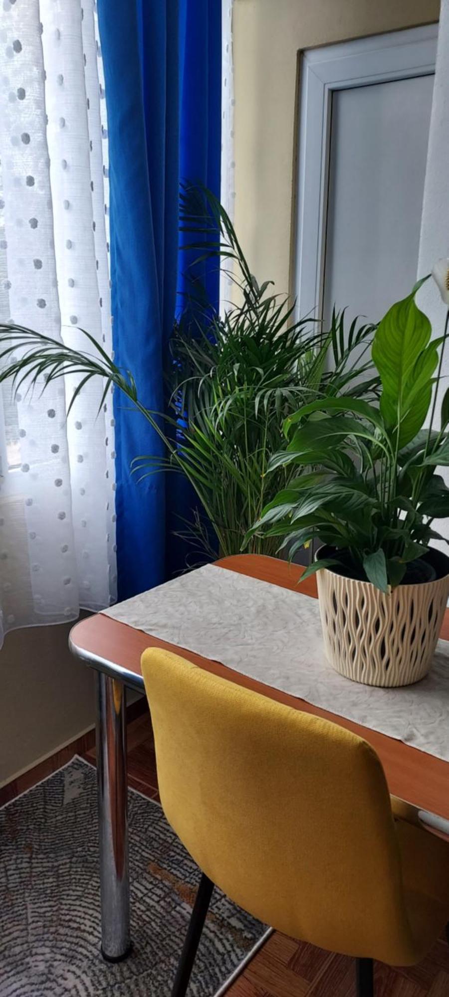 Apartmán Apartament Gara Mica Arad Exteriér fotografie